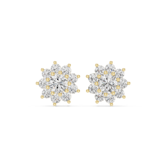 Hayley Diamond Earring