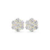 Nataly Diamond Earring